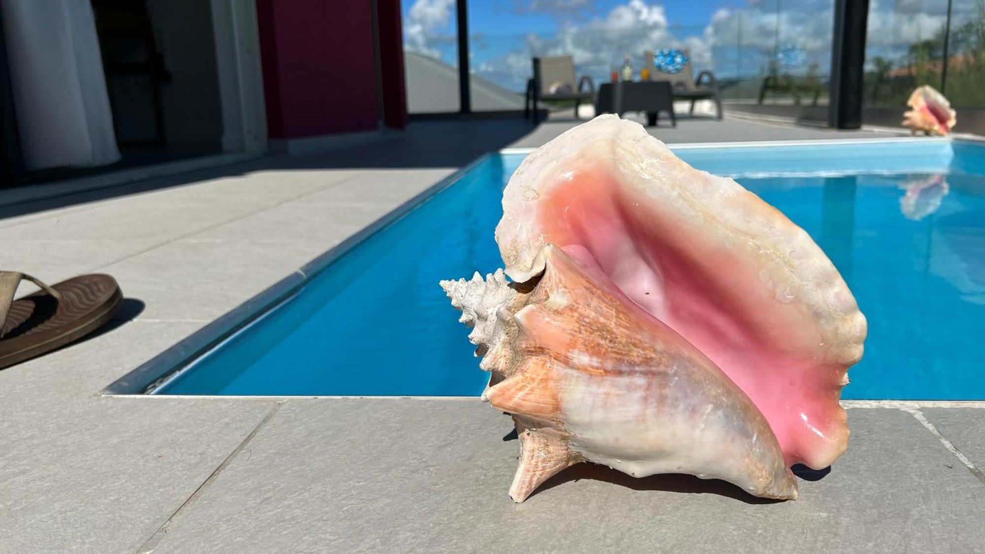 La Villa Jalna Grenadine Deux Chambres Et Piscine Privee Les Trois-Ilets Esterno foto