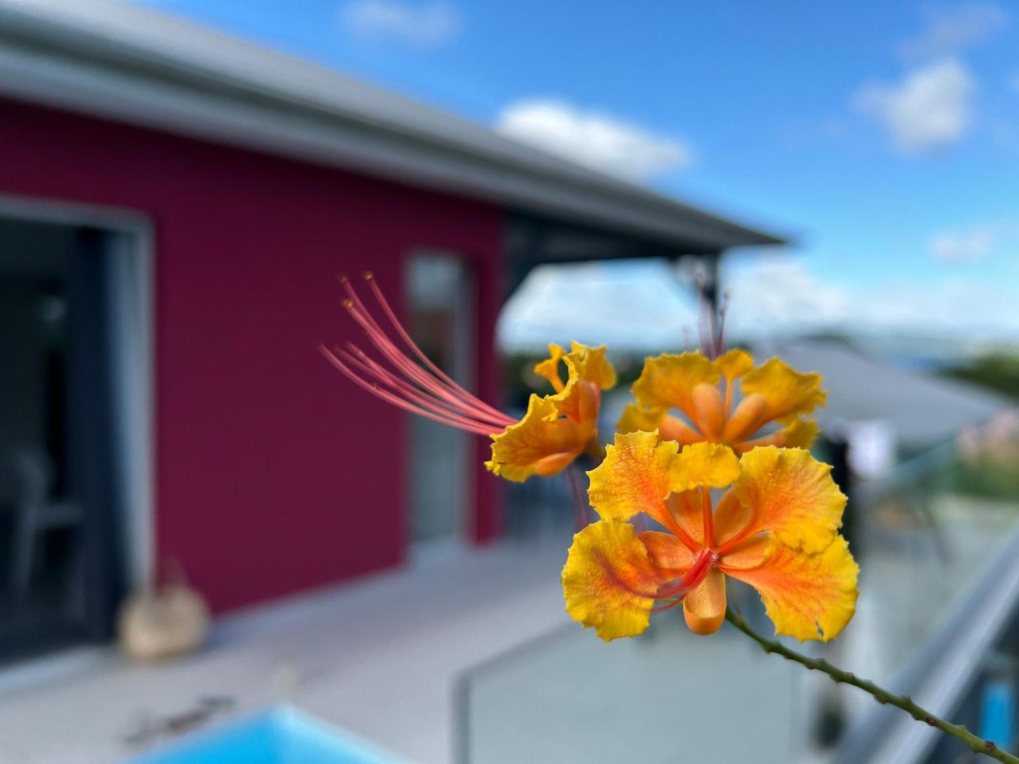 La Villa Jalna Grenadine Deux Chambres Et Piscine Privee Les Trois-Ilets Esterno foto