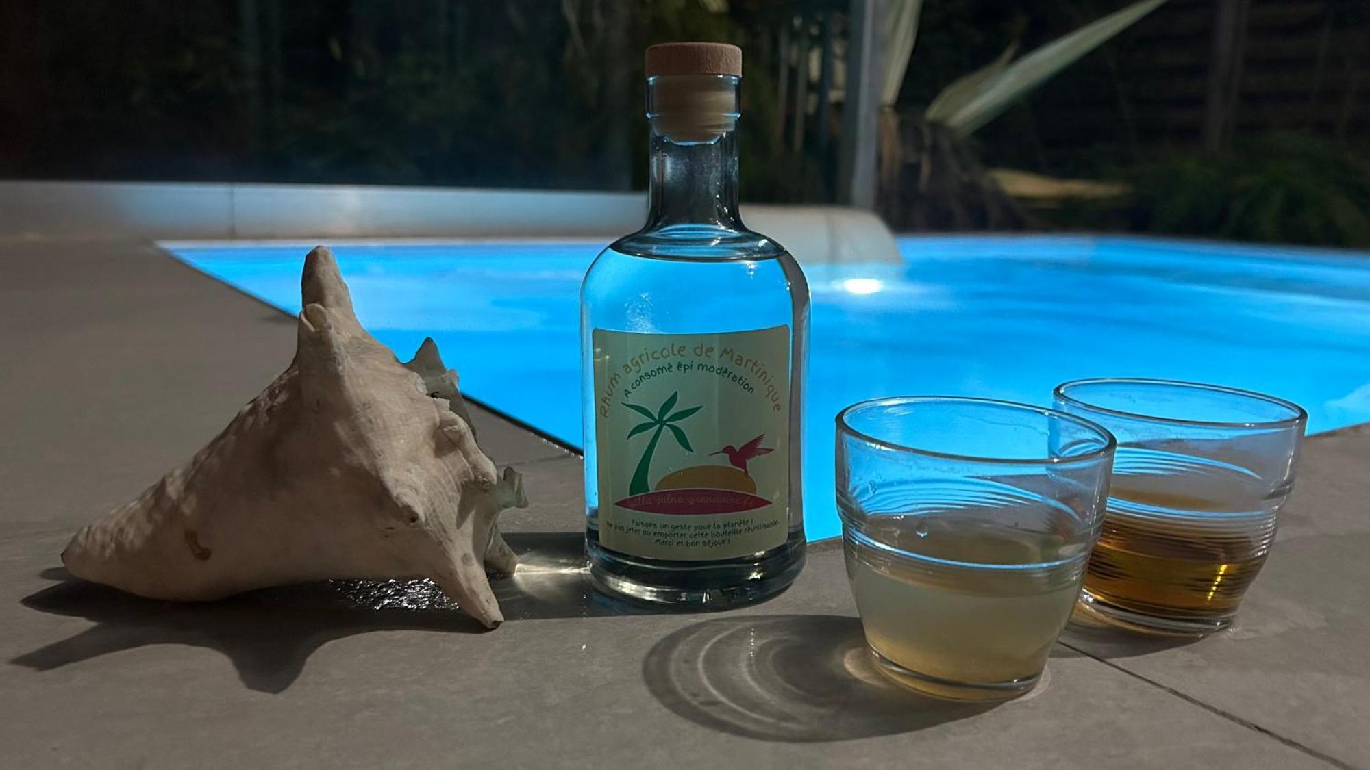 La Villa Jalna Grenadine Deux Chambres Et Piscine Privee Les Trois-Ilets Esterno foto
